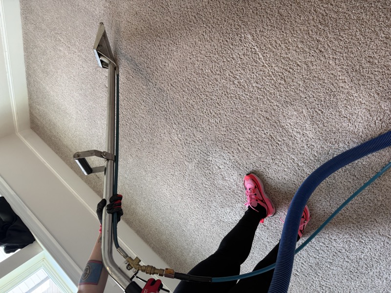 Carpet Cleaning